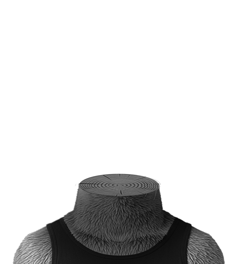 Body 1