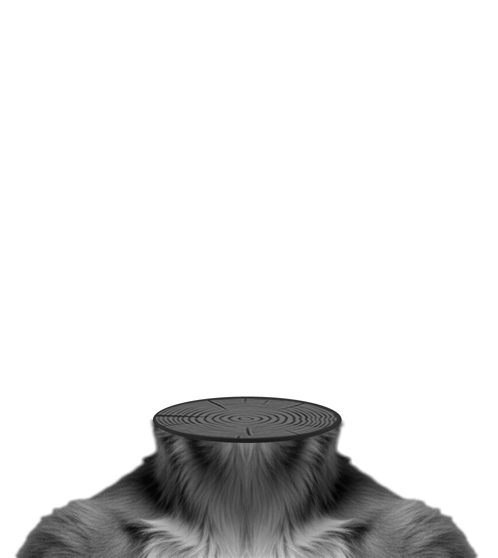 Body 1