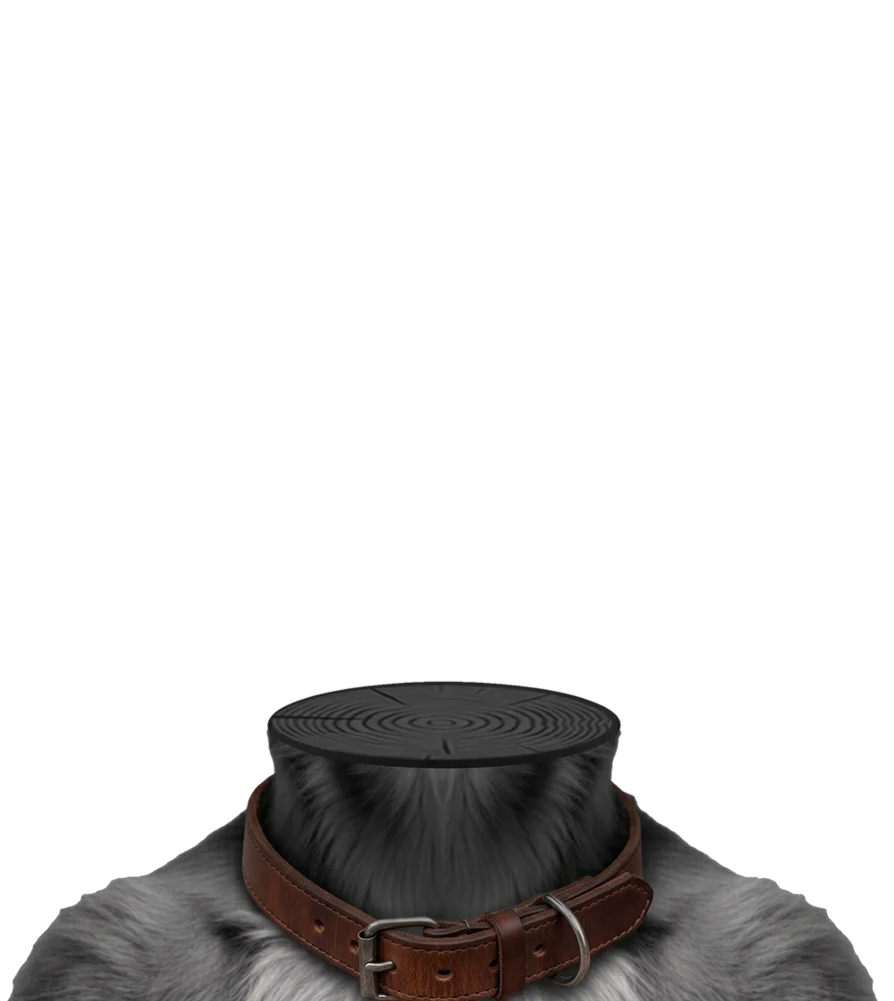 Fur and dog collar